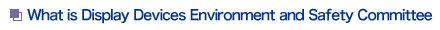 What is Display Device Environment and Safety Committee